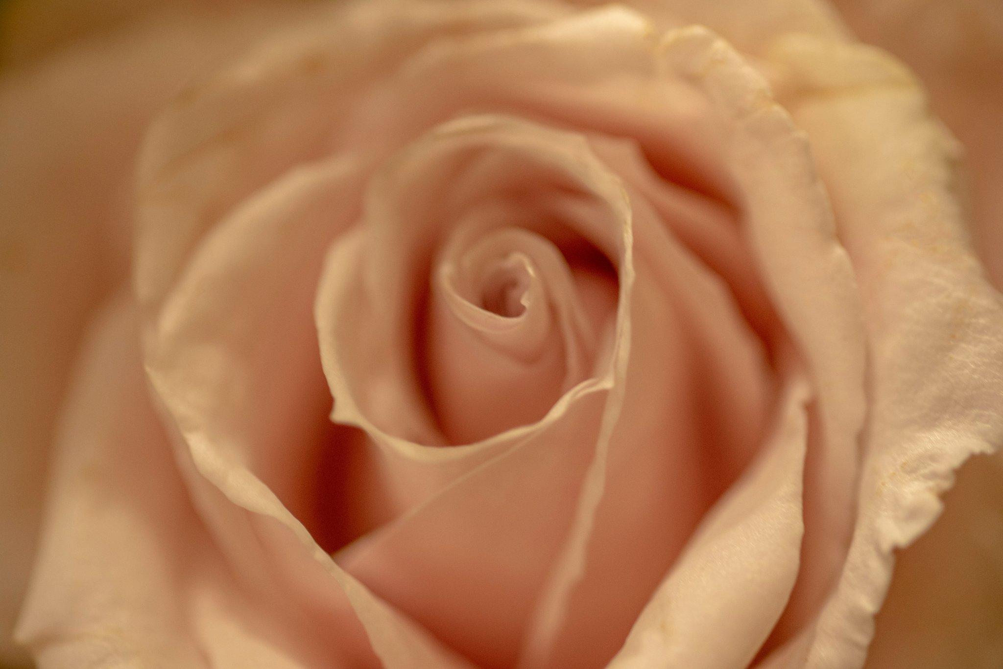 Close-up image demonstrating how to use a cotton swab to clean up messy bold eyeliner edges.