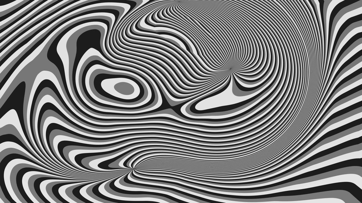 Close-up shot of blending sponges and brushes