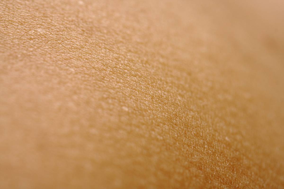 Professional makeup brushes and sponges used for blending