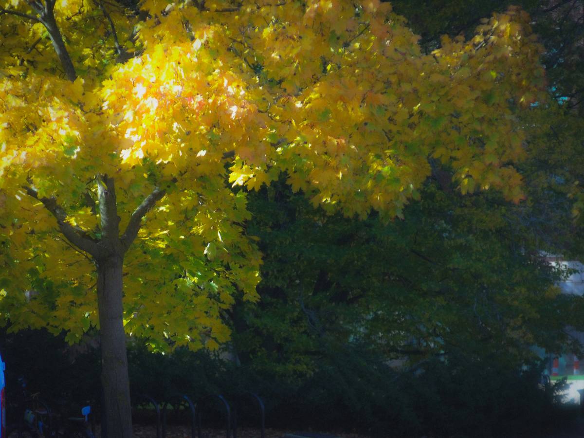 A collection of tools used for artistic face painting including face paints, brushes, and stencils.