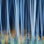 Fantasy Face Design: Master the Art of Magical Makeup Transformations