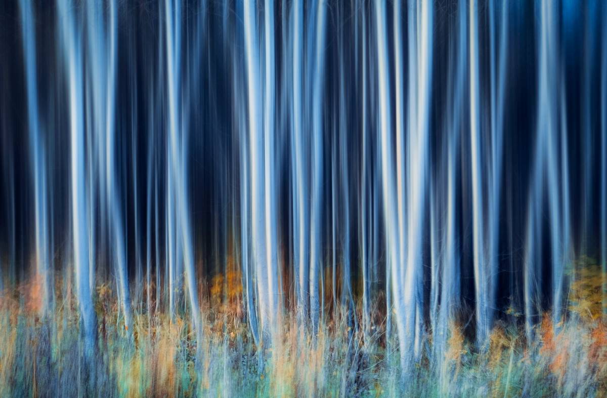 Fantasy Face Design: Master the Art of Magical Makeup Transformations